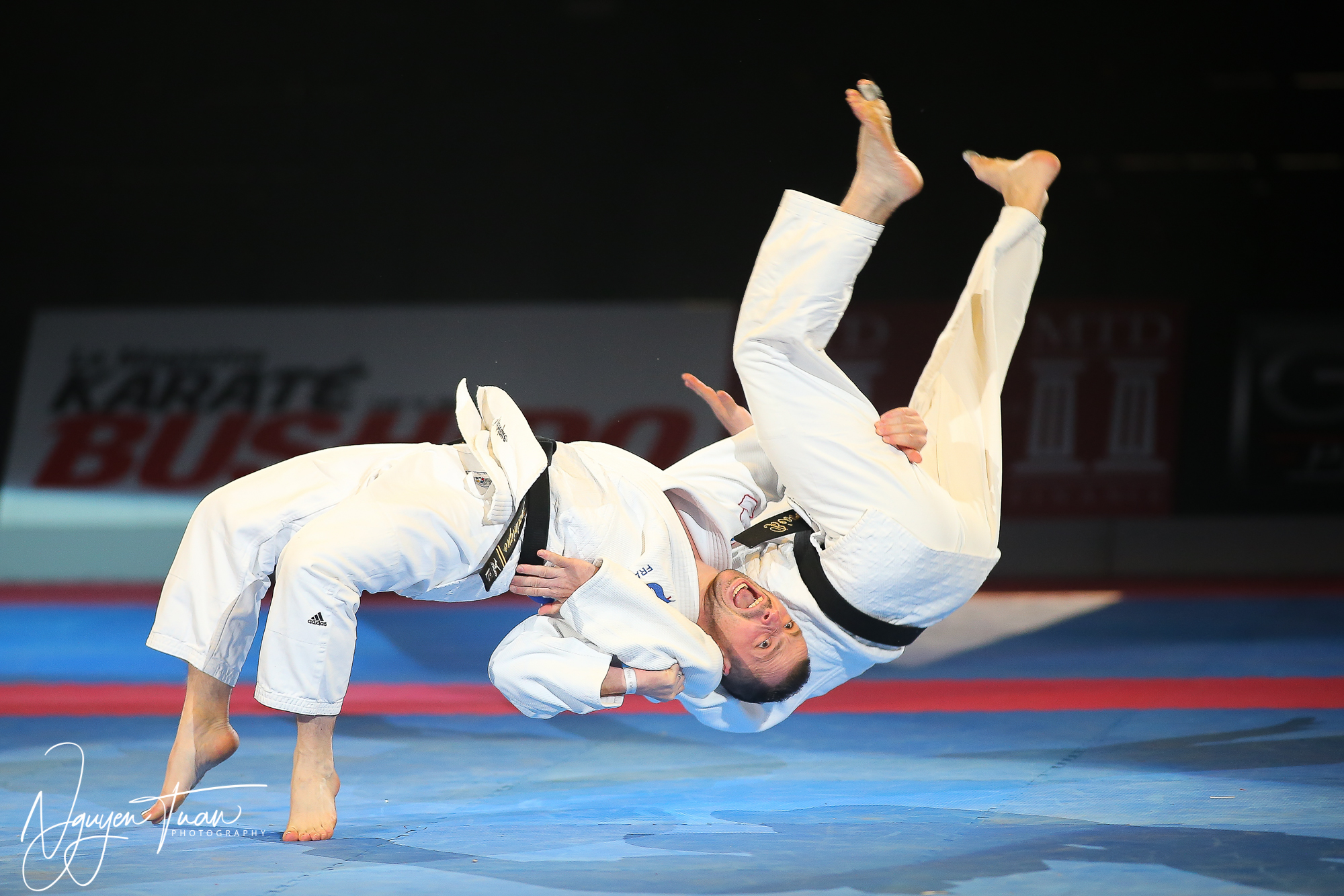 20190324 Festival des Arts Martiaux 1603